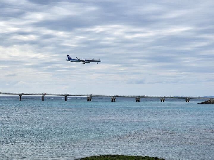 Senagajima Kaichu Road cover image