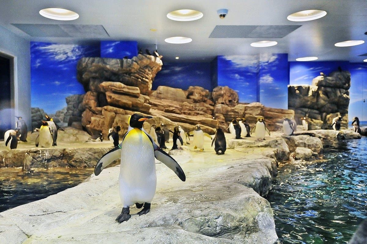 Kaikyokan Aquarium