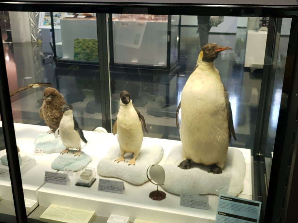 Polarforschungsmuseum