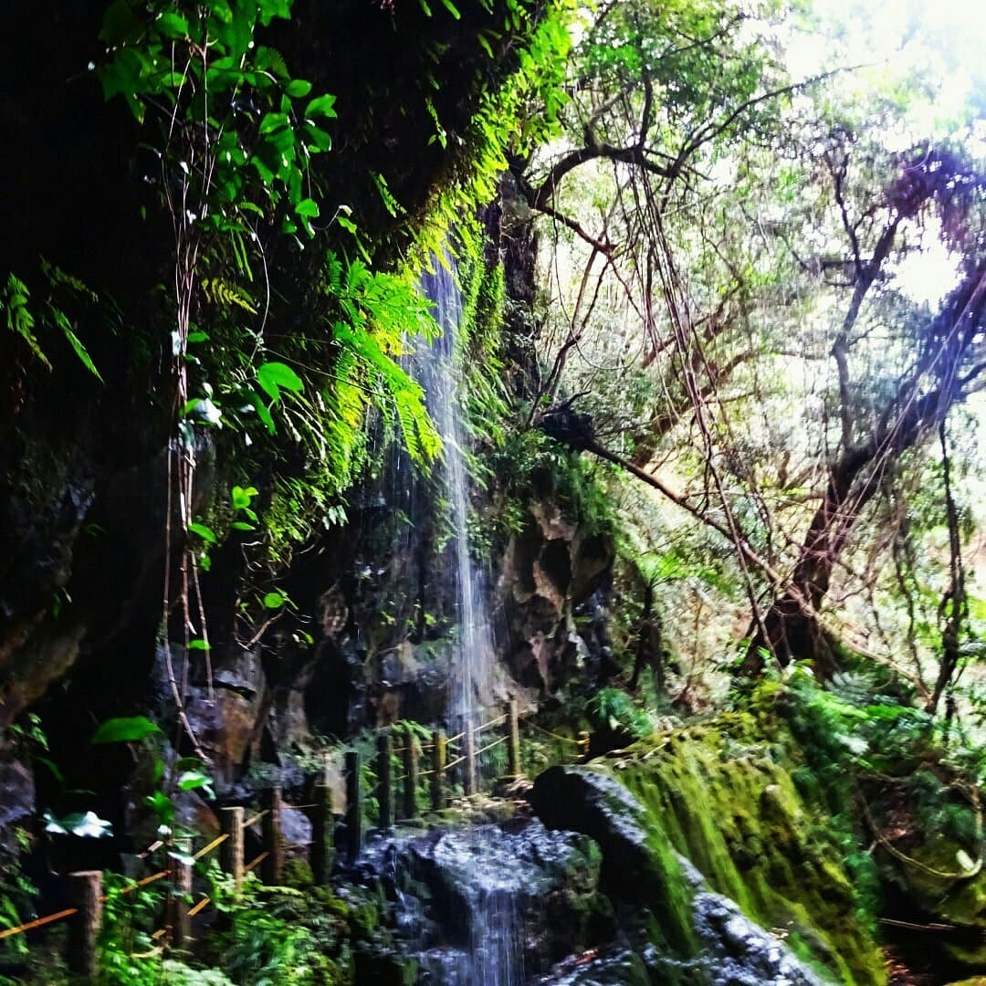 Uramiga Falls cover image