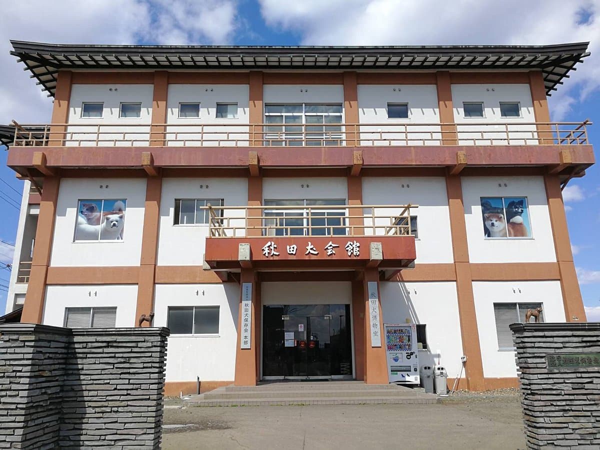 Akitainu Halle