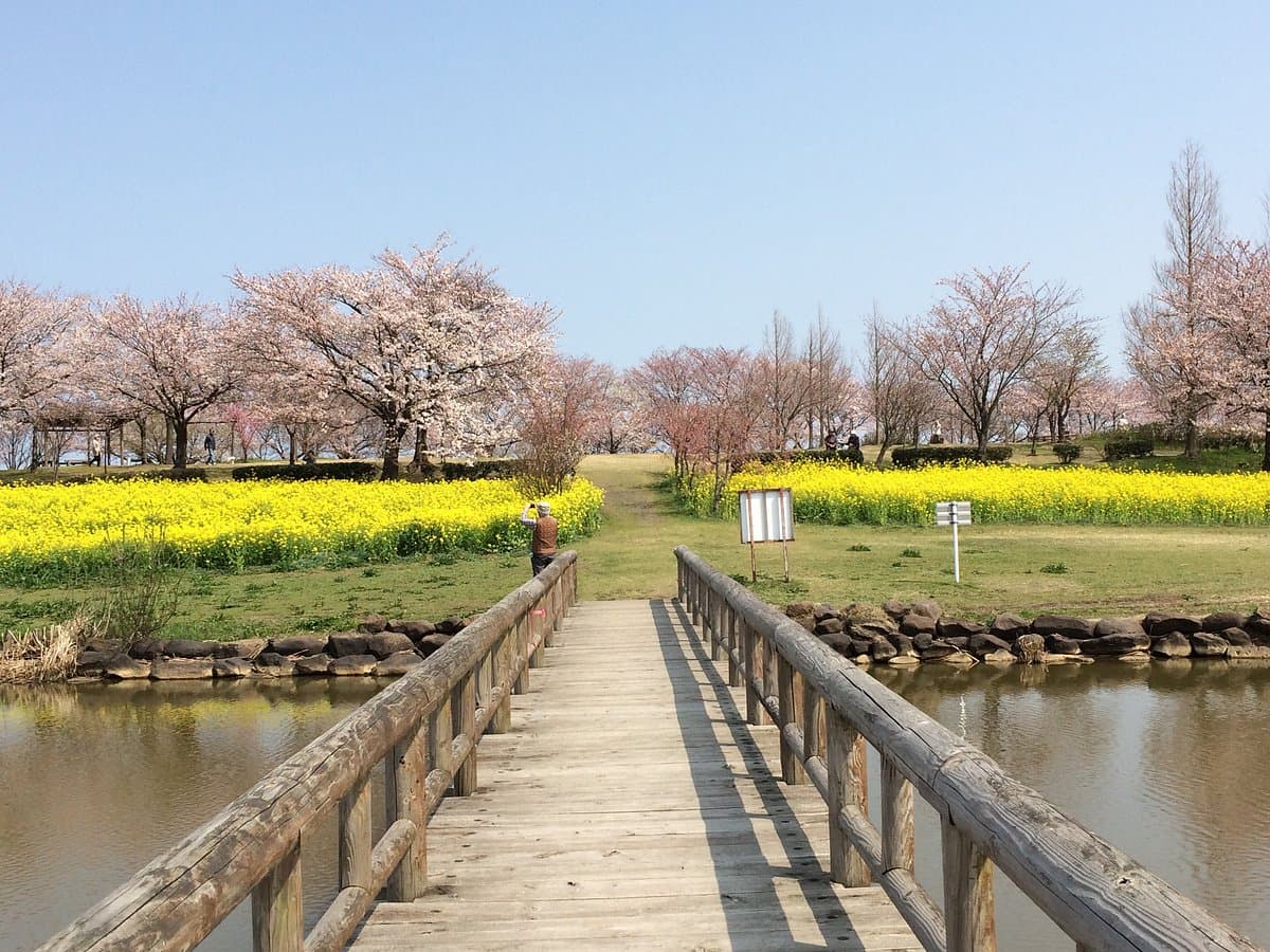 Uwasekigata Park