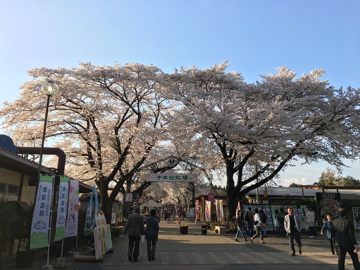 Senbonmatsu Milchfarm