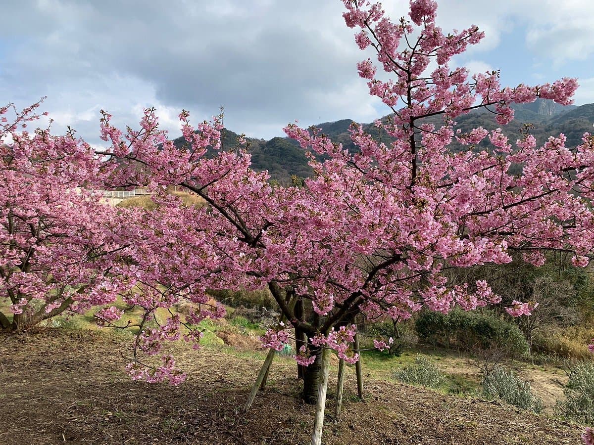 Takesan Farm