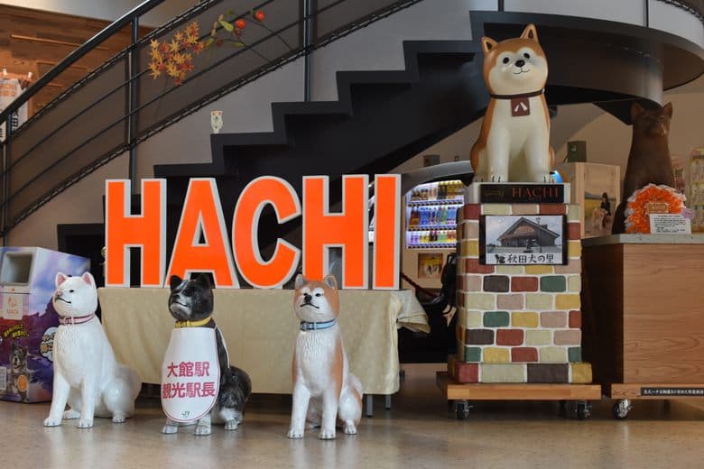 Akita Hund Besucherzentrum
