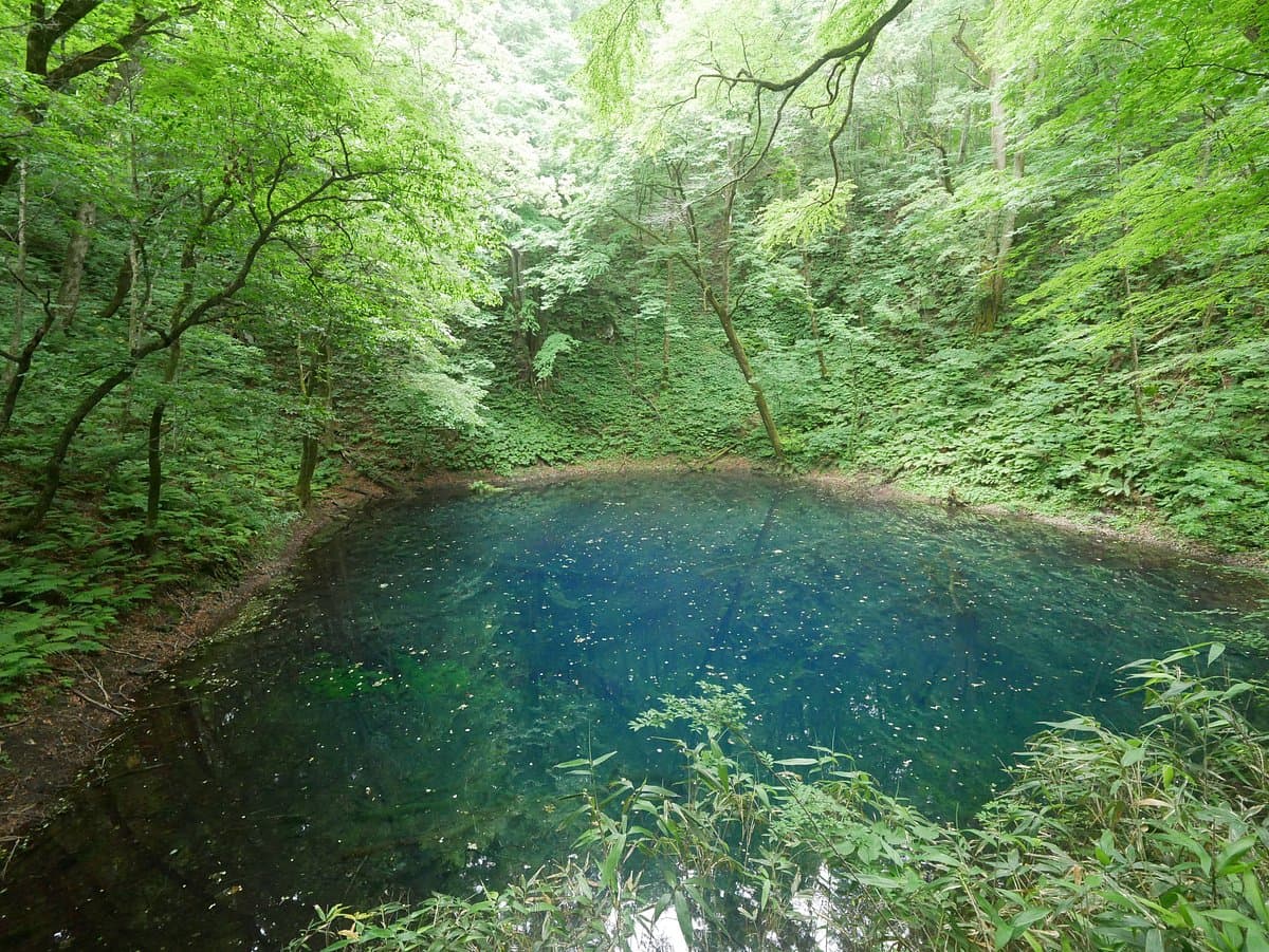 Der Blaue Teich (Aoike)