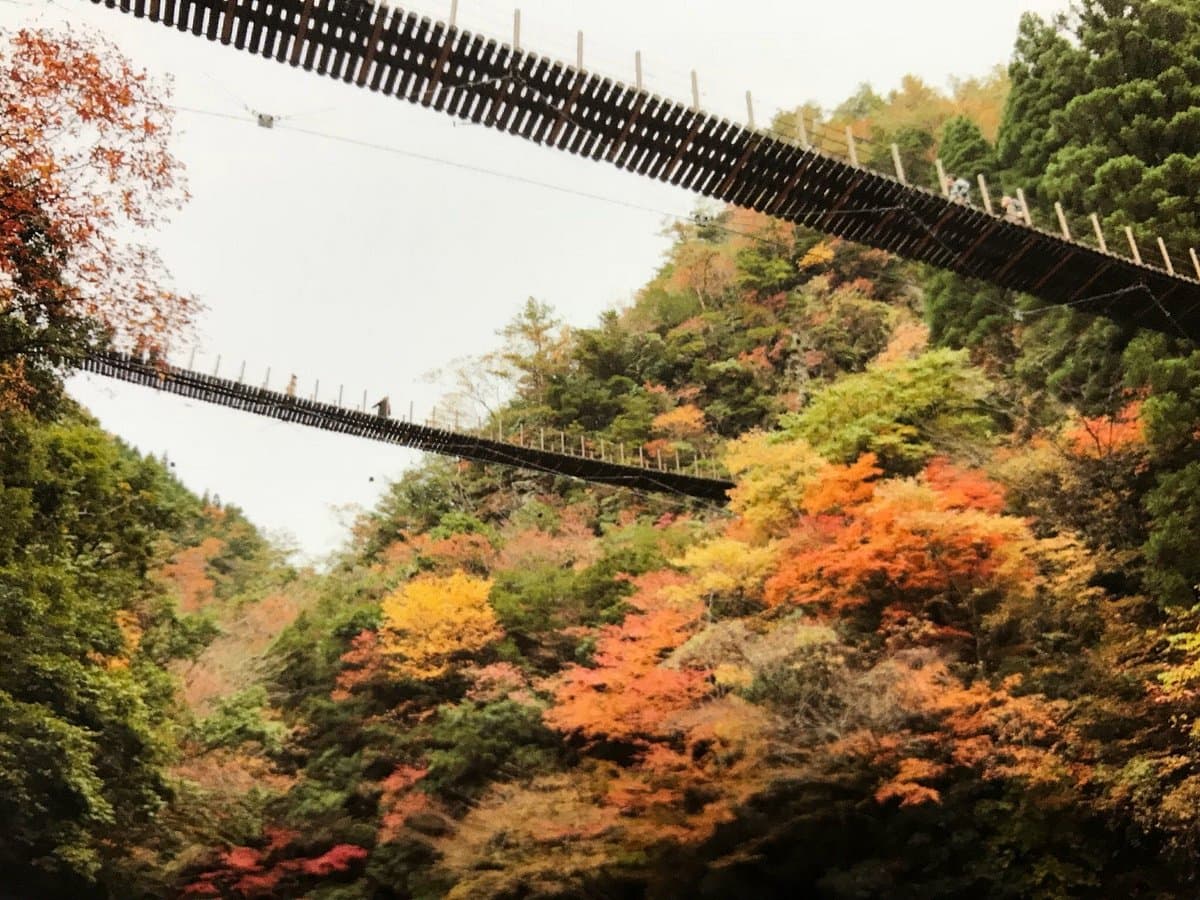 Momigi-Hängebrücke