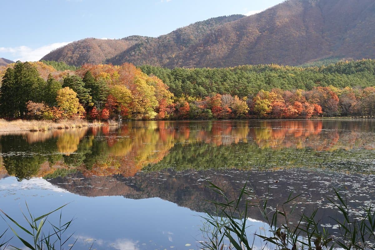 Kannonnuma Waldpark