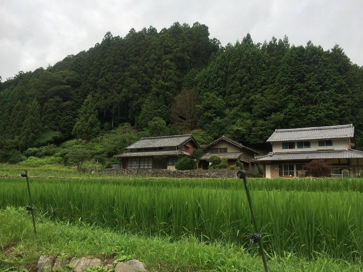 Roadside Station Misugi cover image