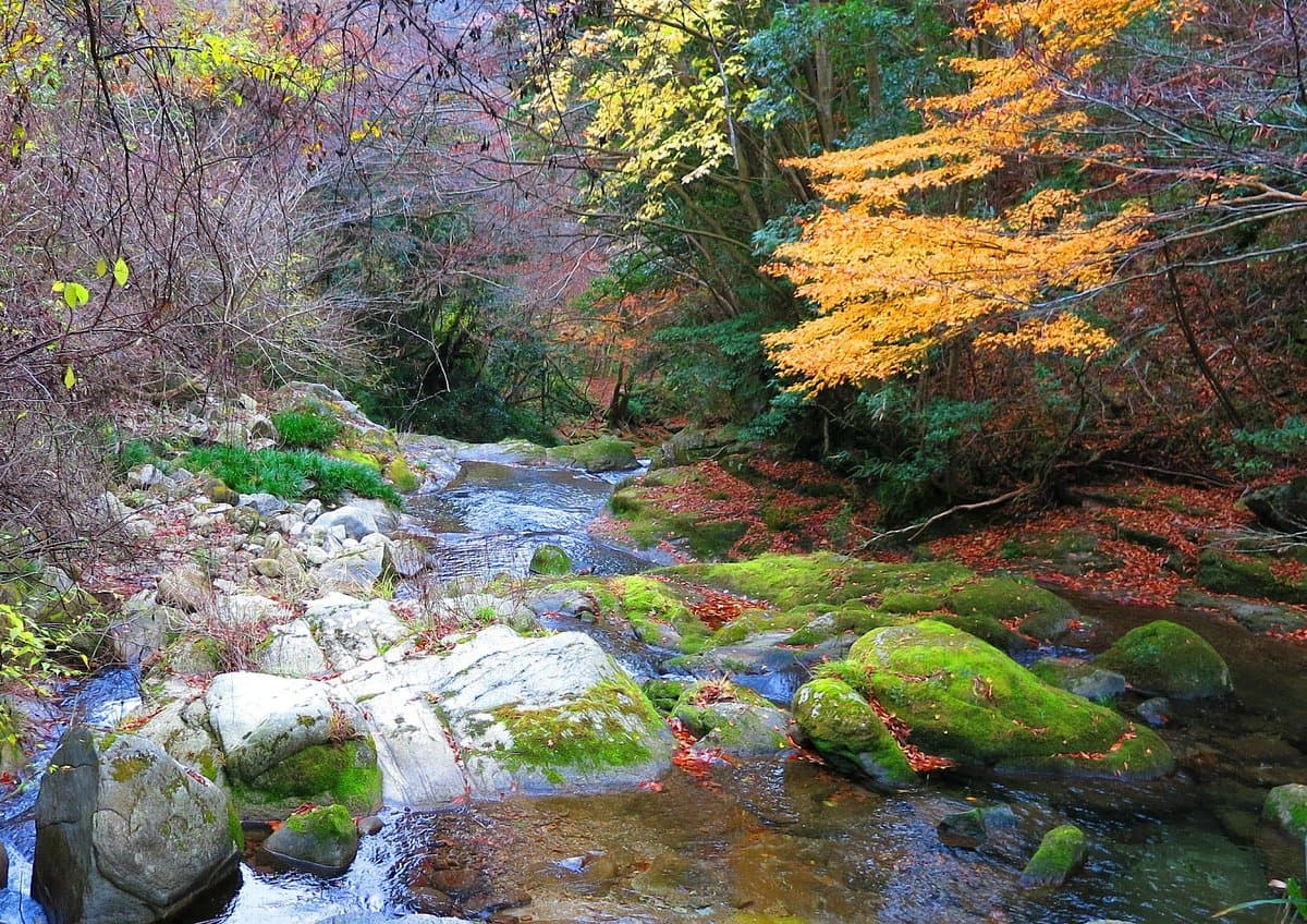 Hananuki-Tal