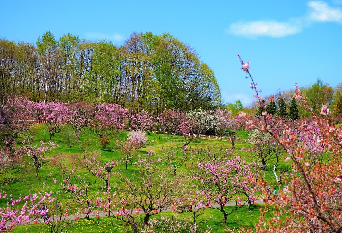 Hiraoka Park