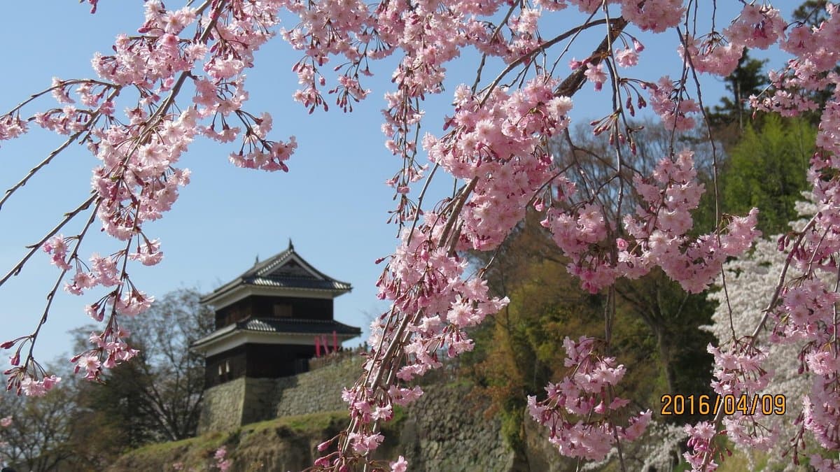 Ueda Castle cover image