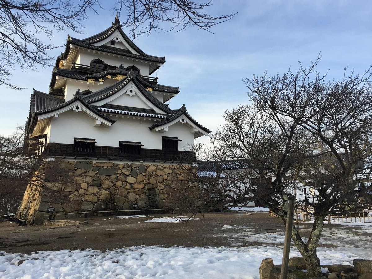 Hikone Castle Museum cover image