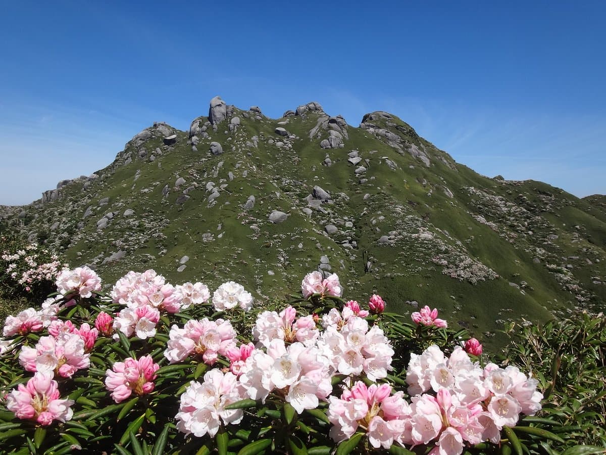Yakushima-Nationalpark