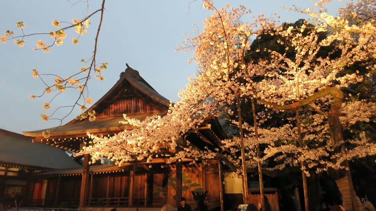 Yasukuni Shrine cover image