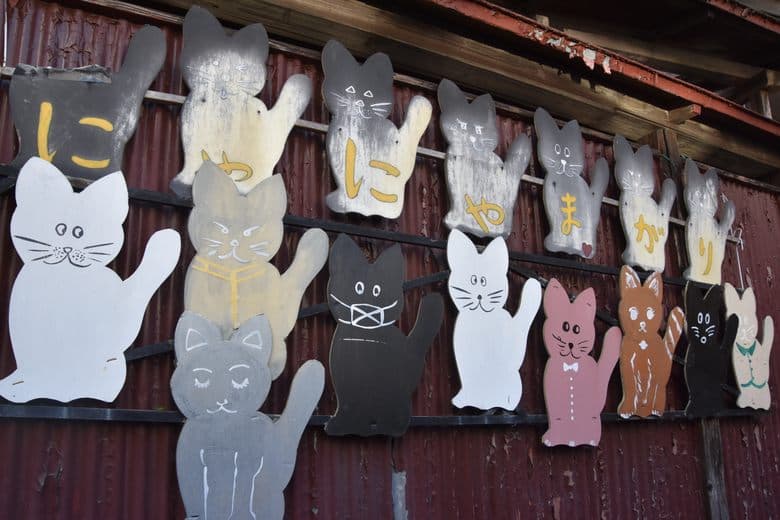 Nyanya Magari Katzenallee