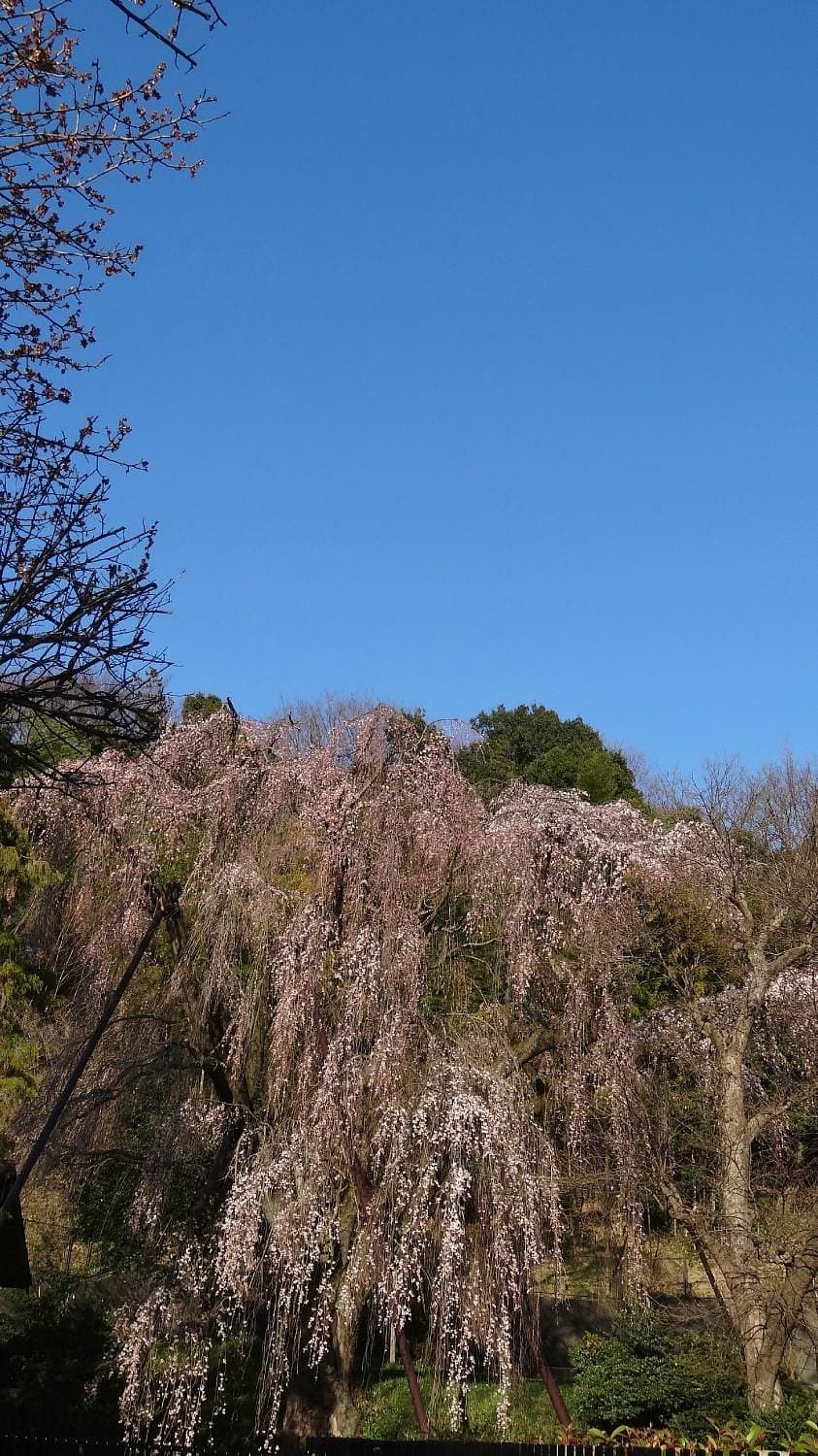 Tsurumaki West Park