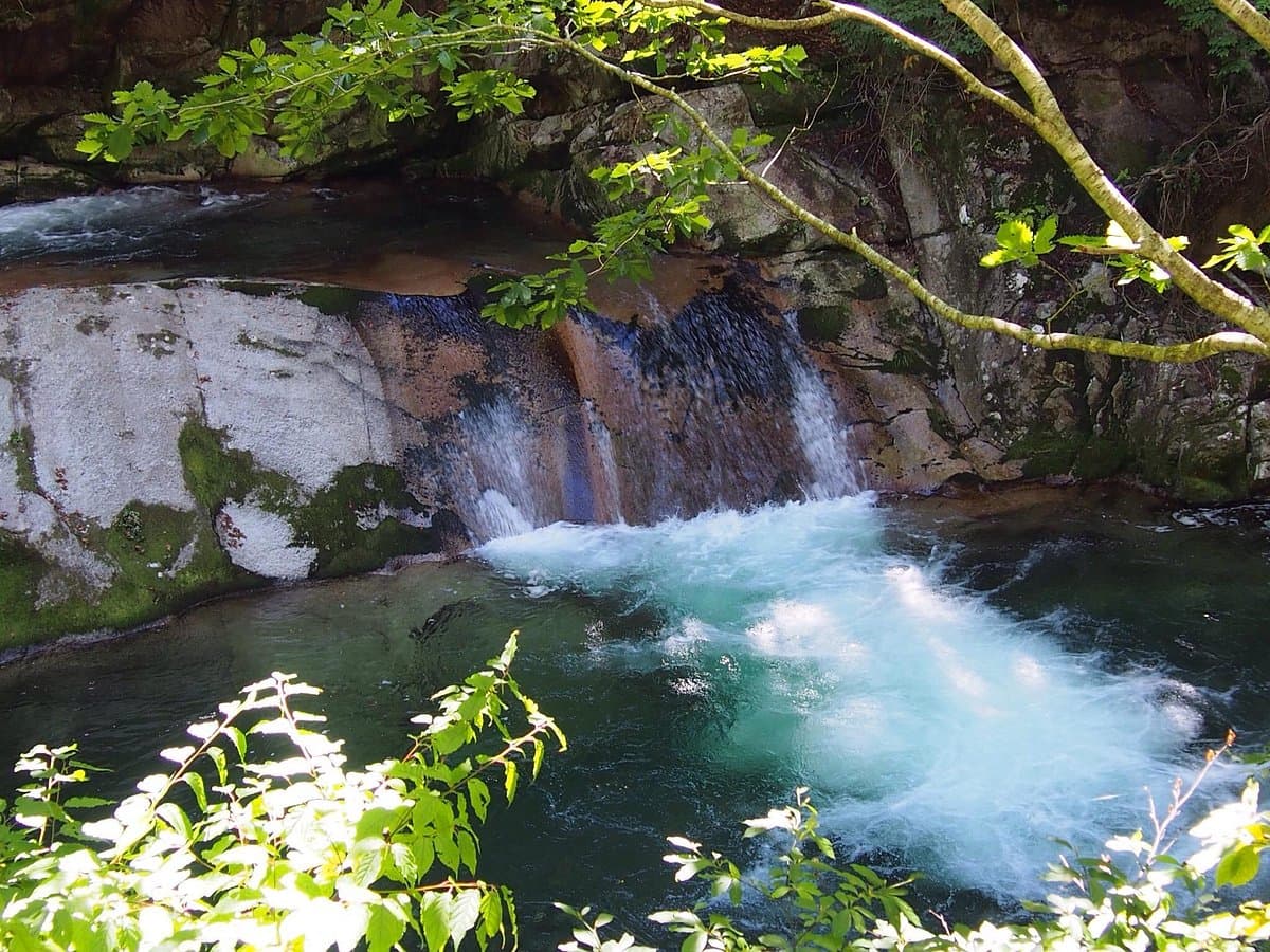 Teriha-Tal