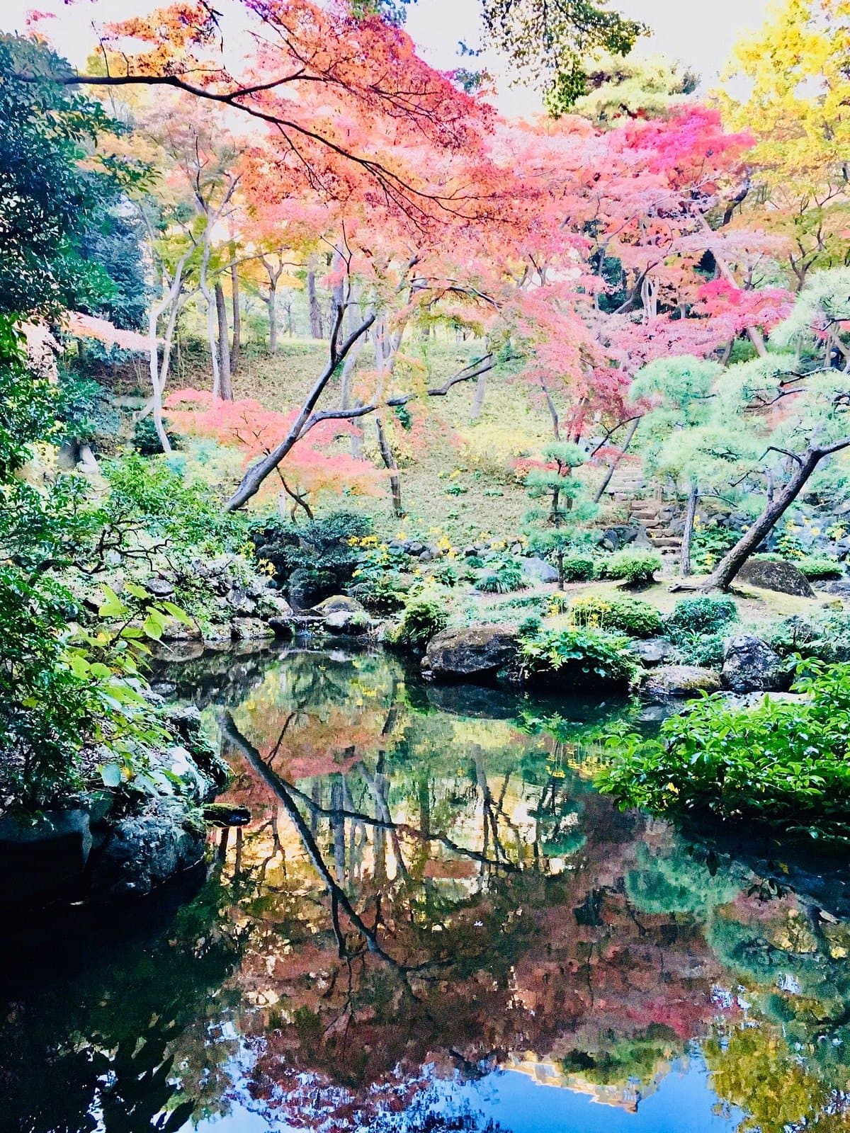 Tonogayato Garden cover image