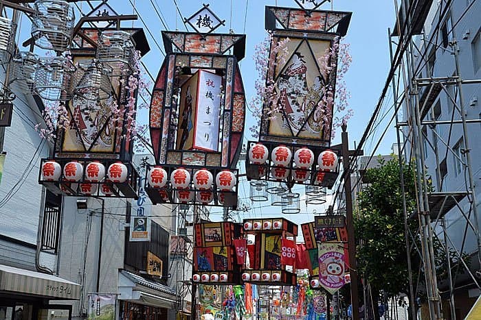 Warabi Hata Matsuri cover image