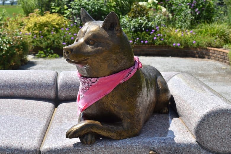 Kabosu der Doge Statue