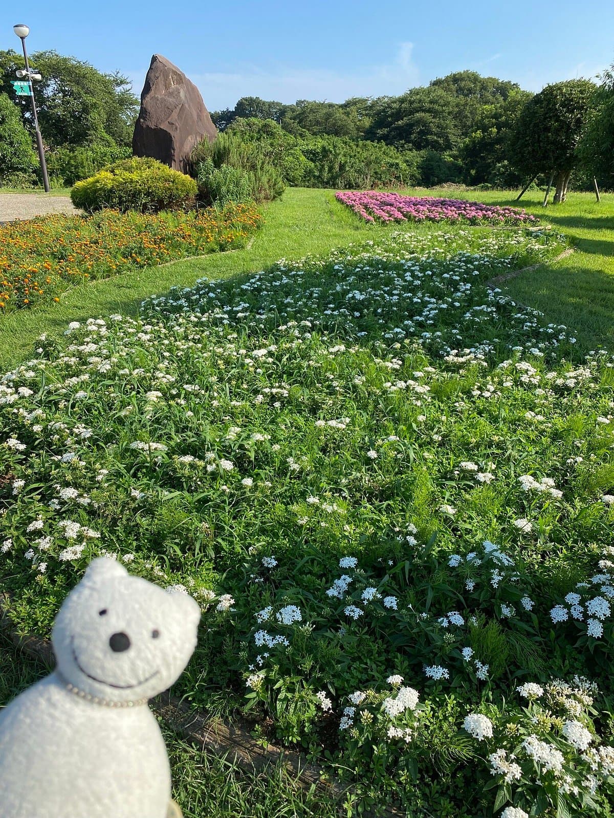 Präfekturpark Kanagawa Sagamisansen
