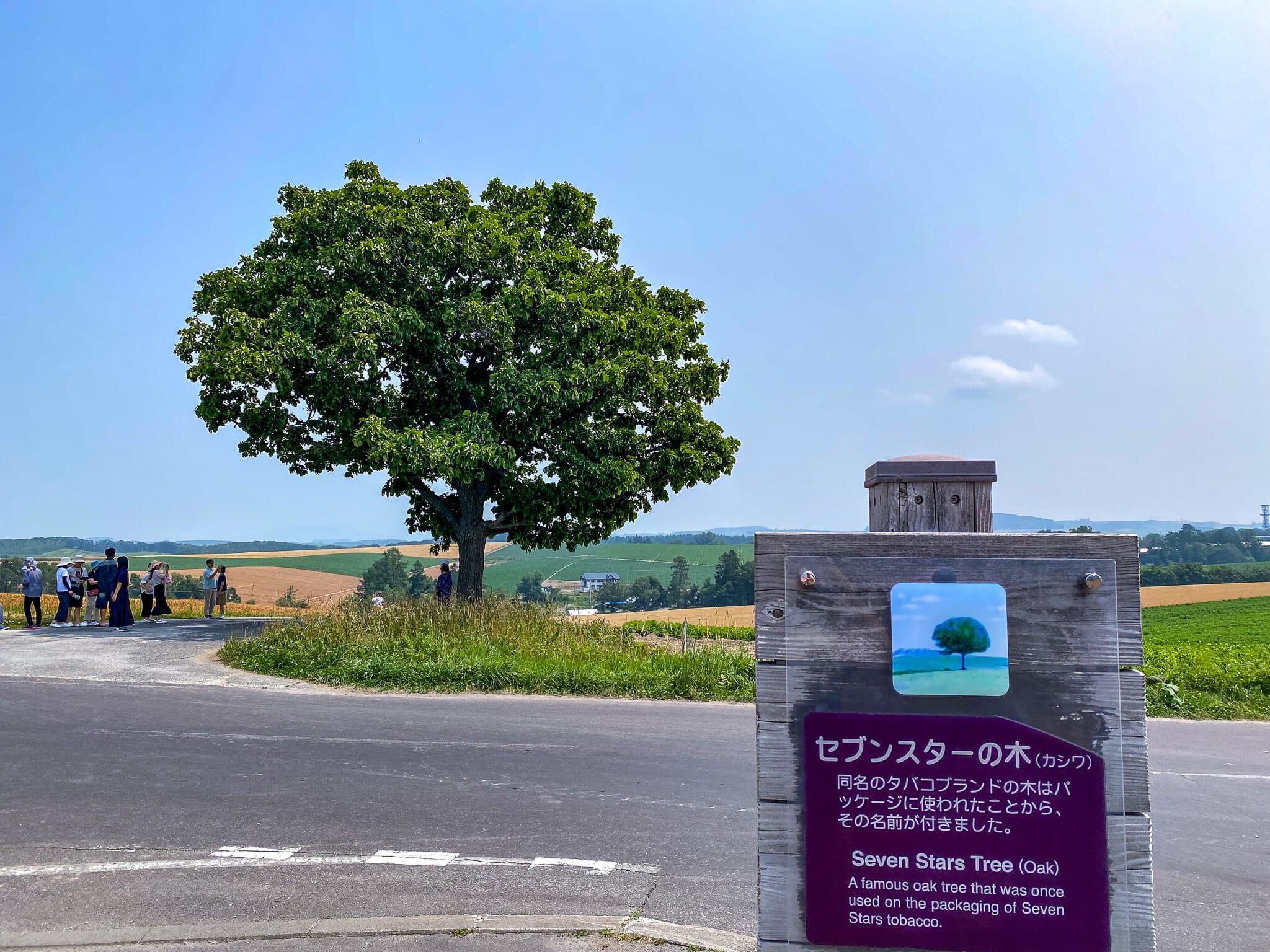 Sieben-Sterne-Baum