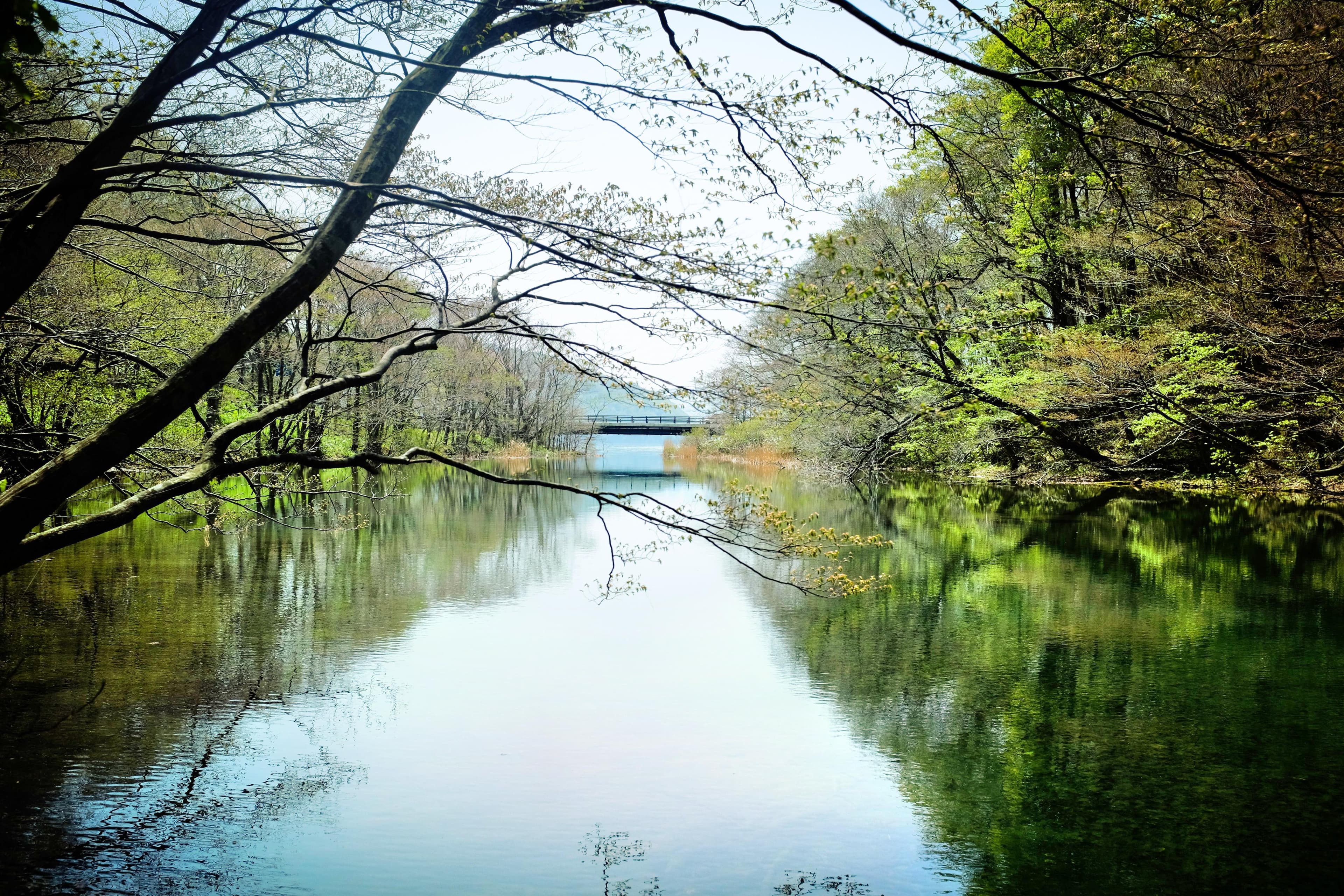 Towada-See