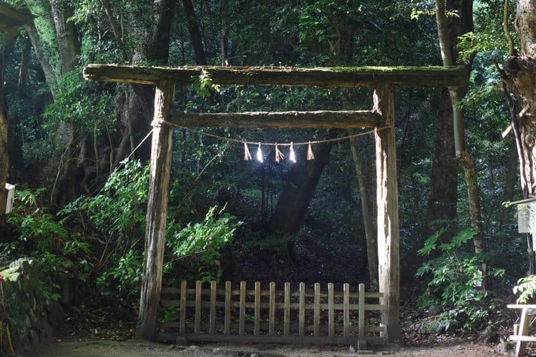 Verbotener Wald am Keta Taisha Schrein