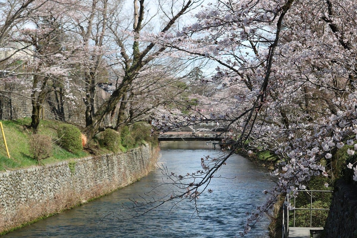 Hamura Syusuiseki