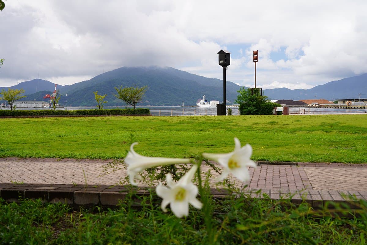 Kanegasaki Ryokuchi Park