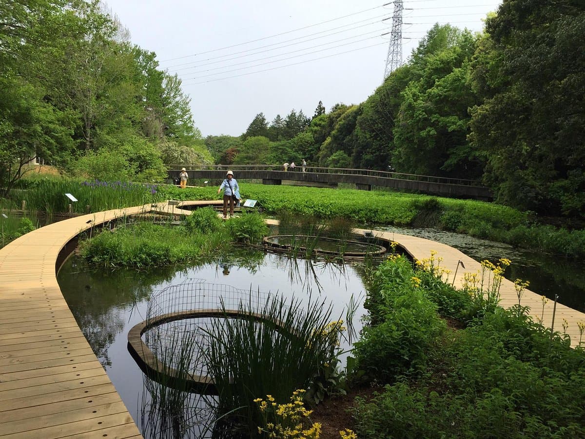 Botanischer Garten Tsukuba