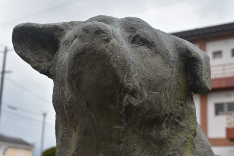 Heimwehkranker Hachiko