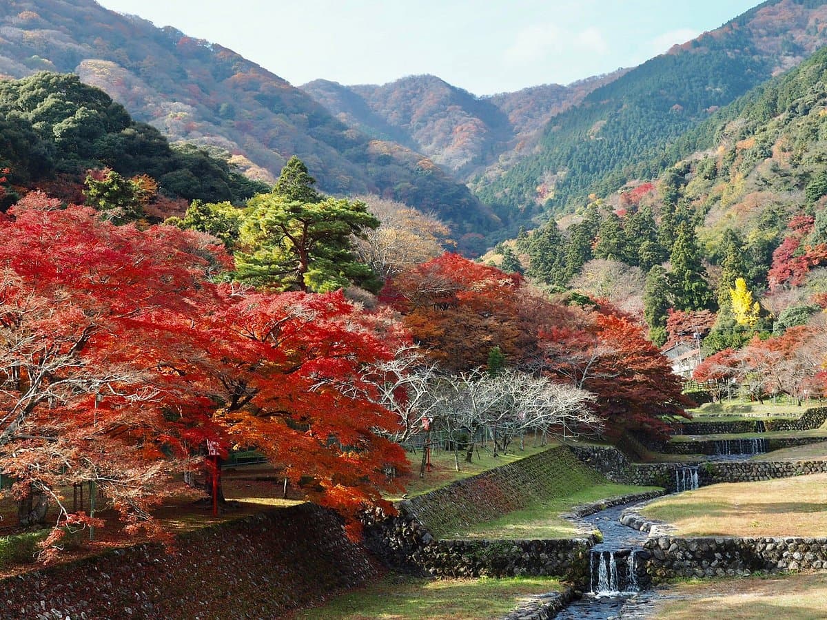 Yoro-Park