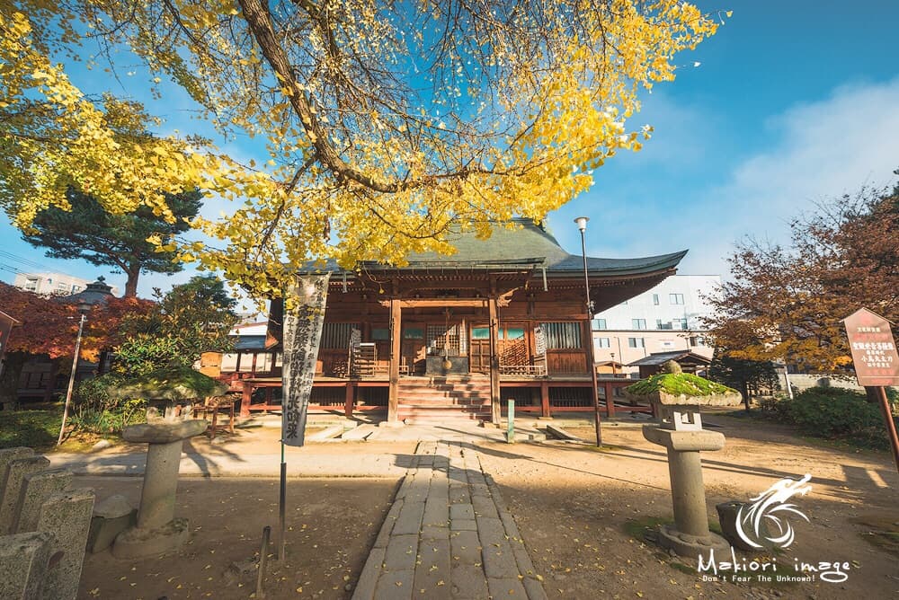 Hidakochi (Hida Takayama)