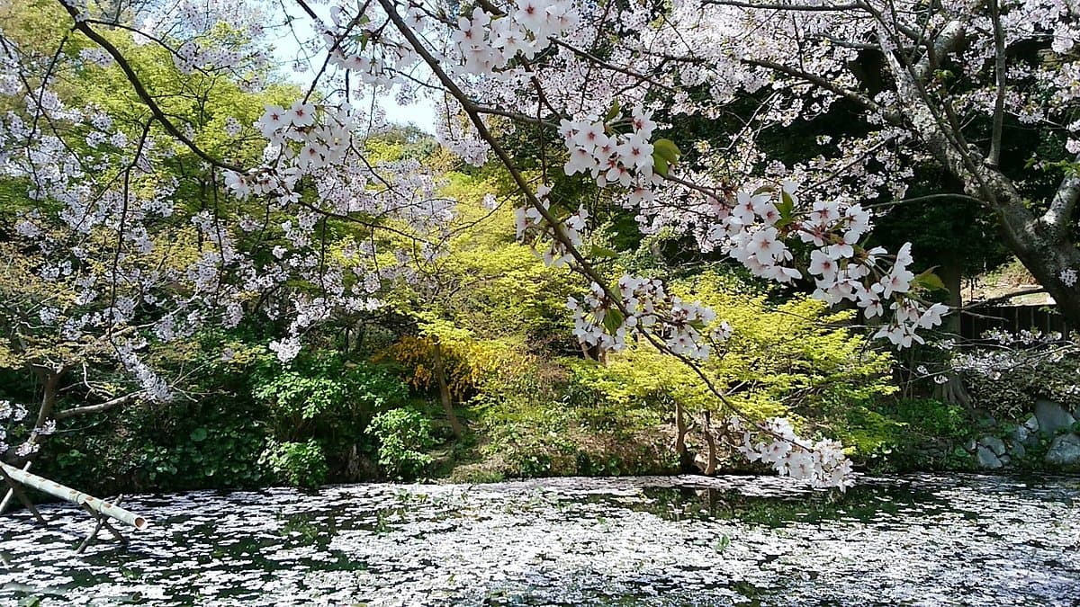 Botanischer Garten Shiranoe