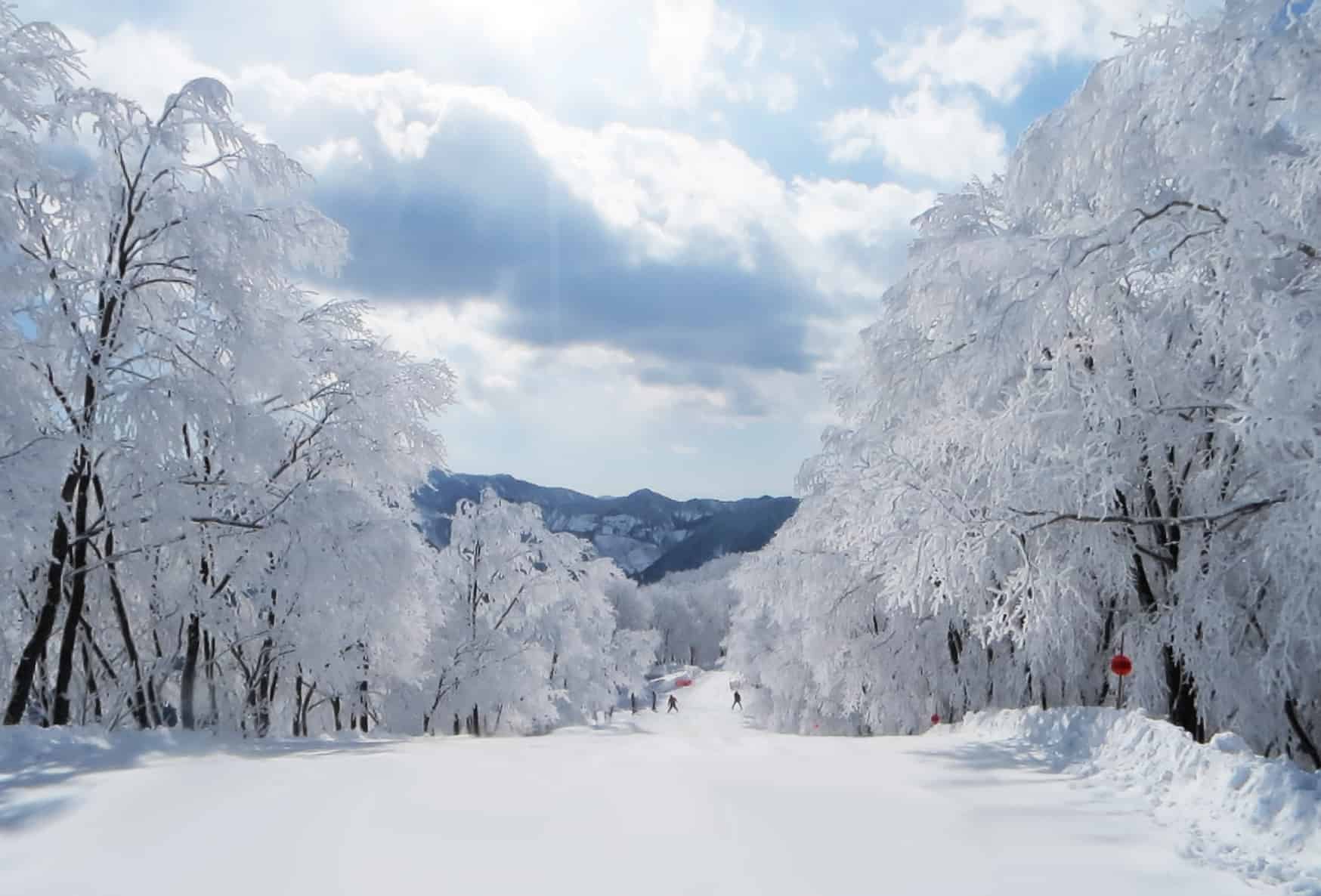 Skigebiet Hakuba Cortina