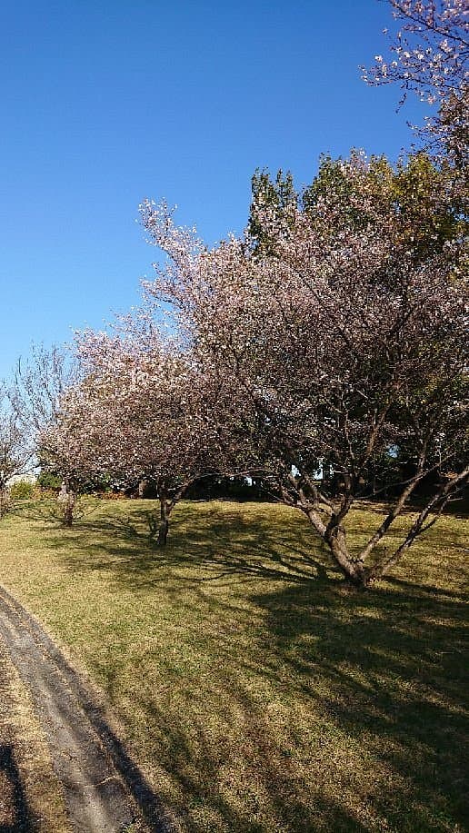 Aichi Fitness Waldpark