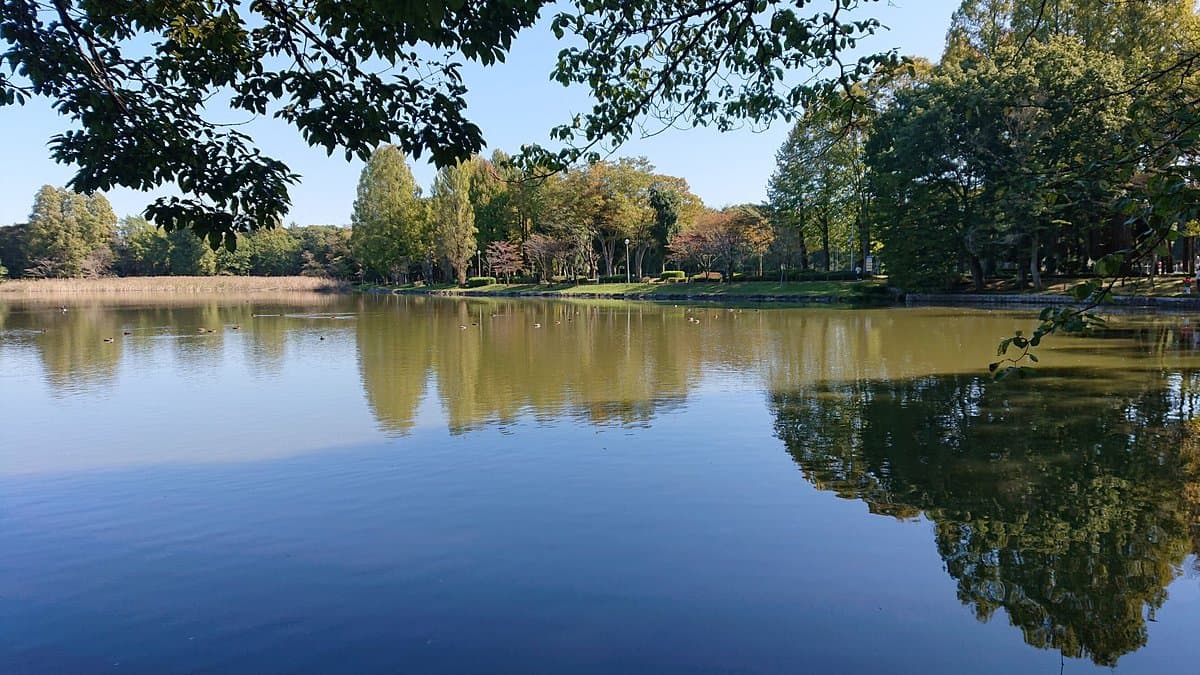 Doho Park