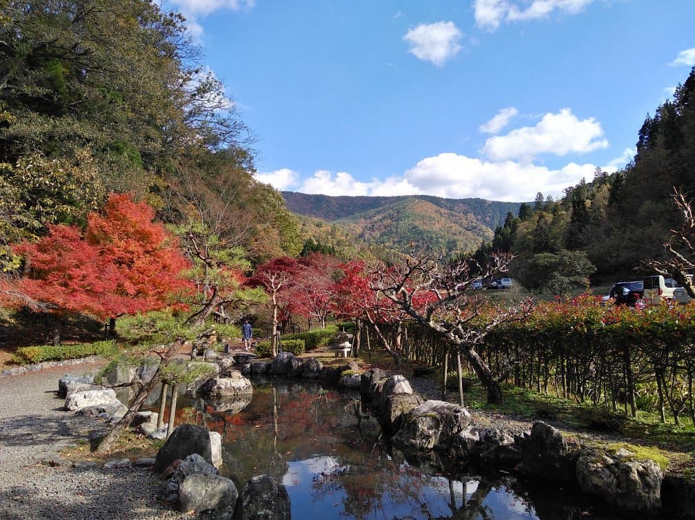 Shakudoji Temple cover image