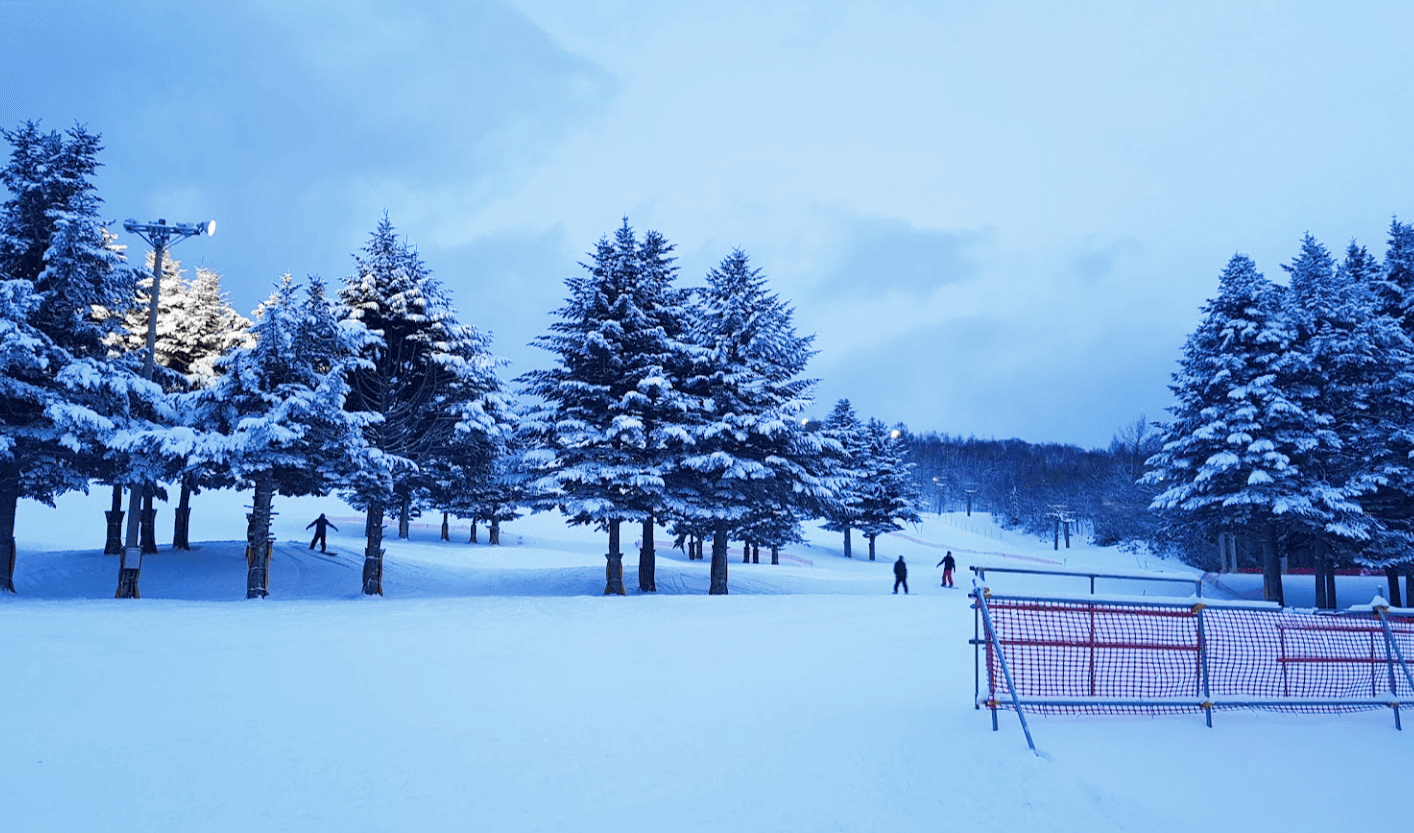 Dynasty Skigebiet