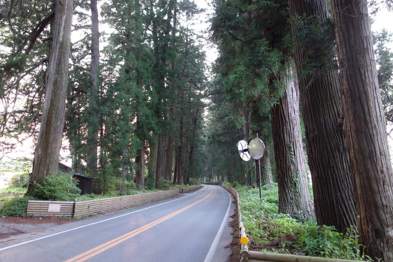 Zedernallee von Nikkō