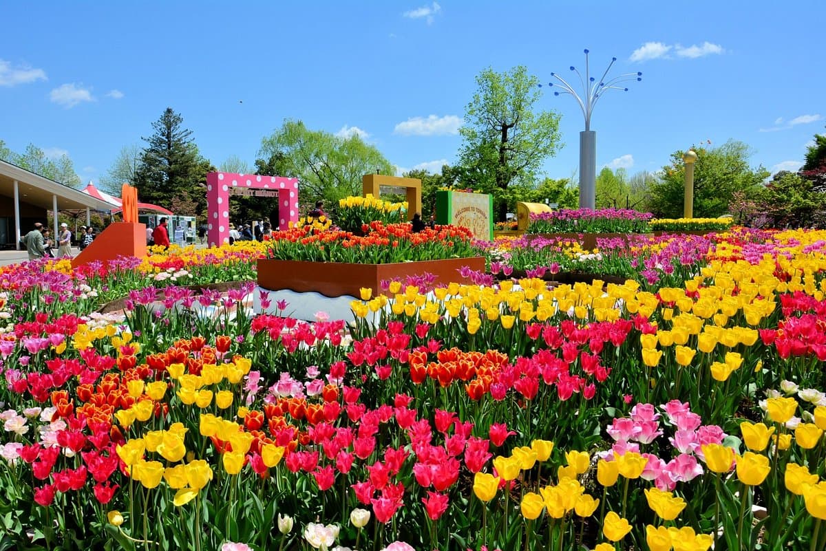 Tonami Tulpenpark