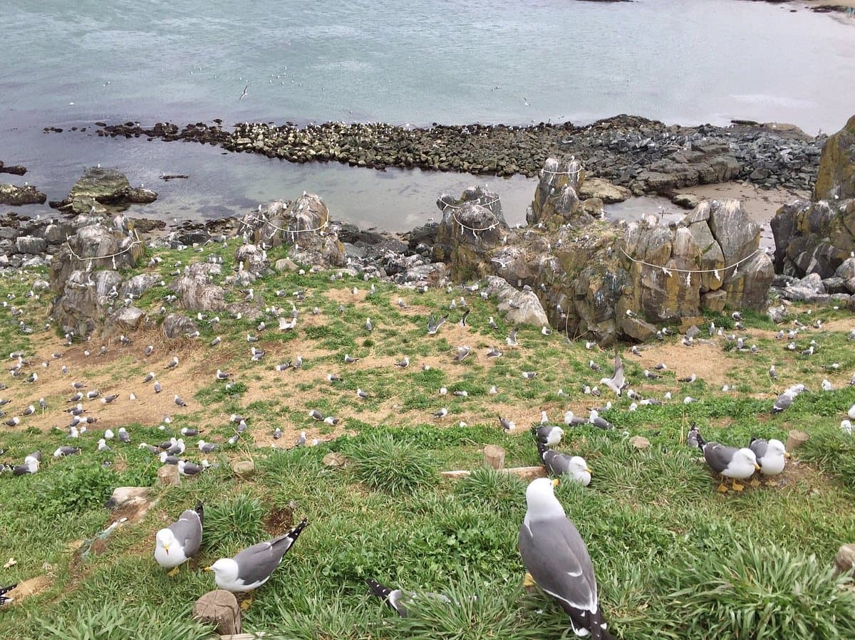 Kabushima-Insel