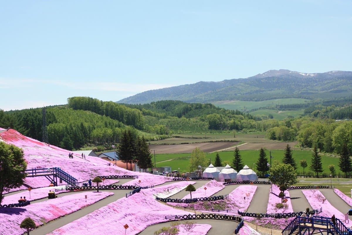 Higashimokoto Shibazakura Park