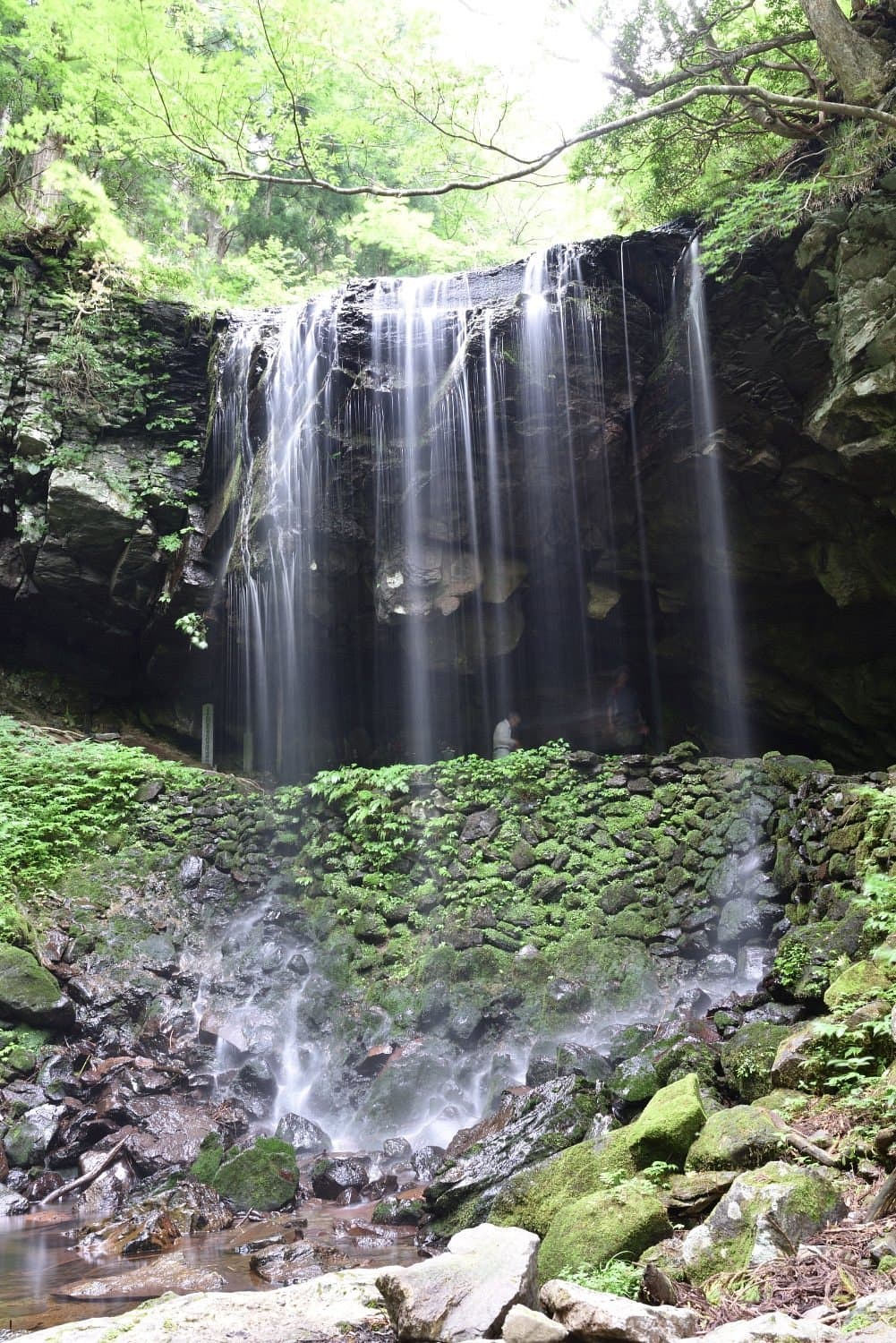 Iwai-Fälle