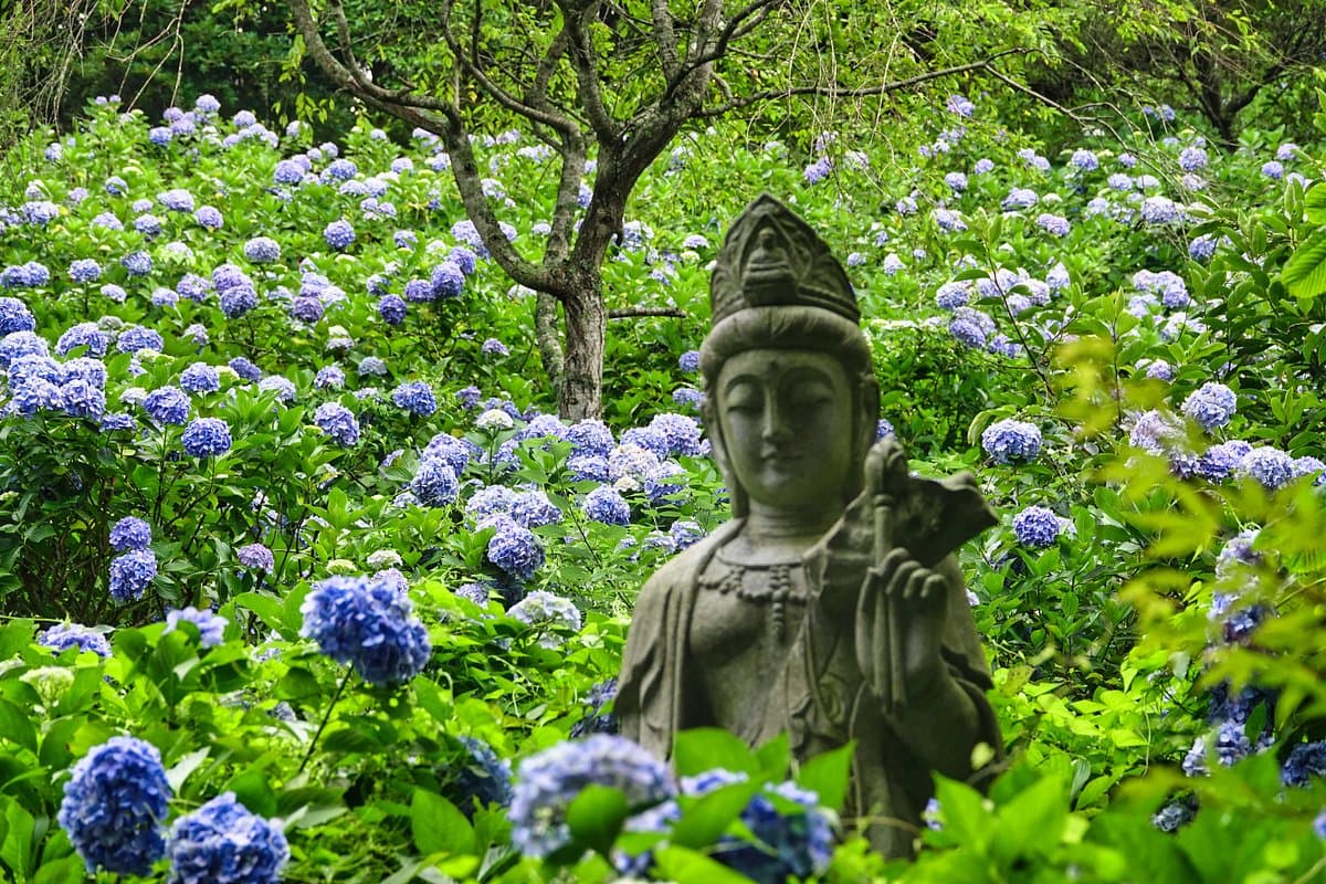 Myohoshoji-Tempel
