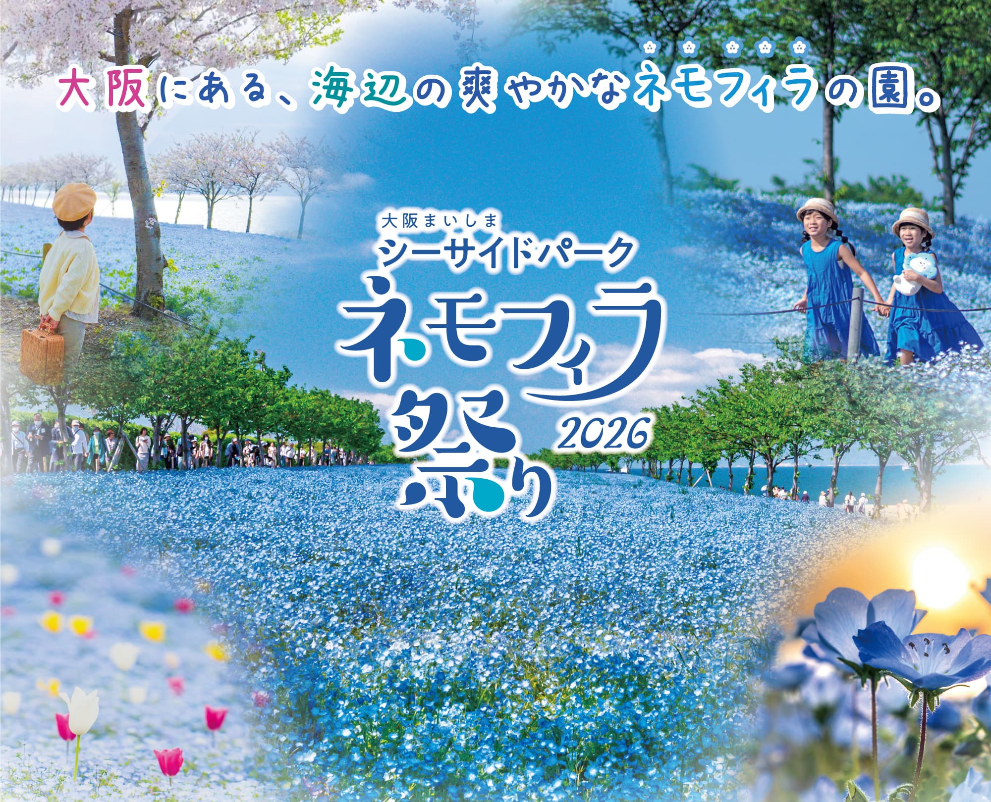 Nemophila-Festival 2026