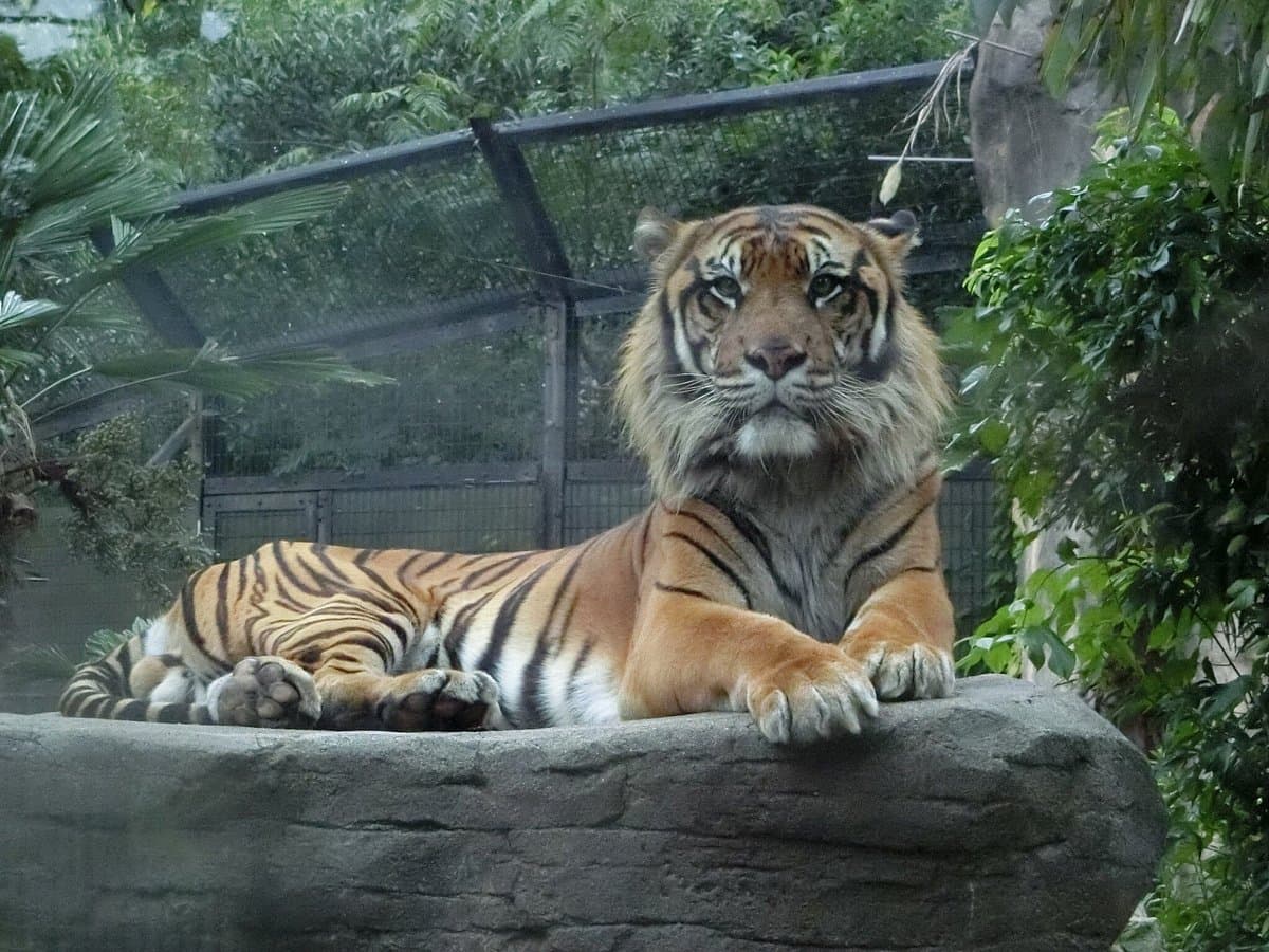 Yagiyama Zoologischer Park