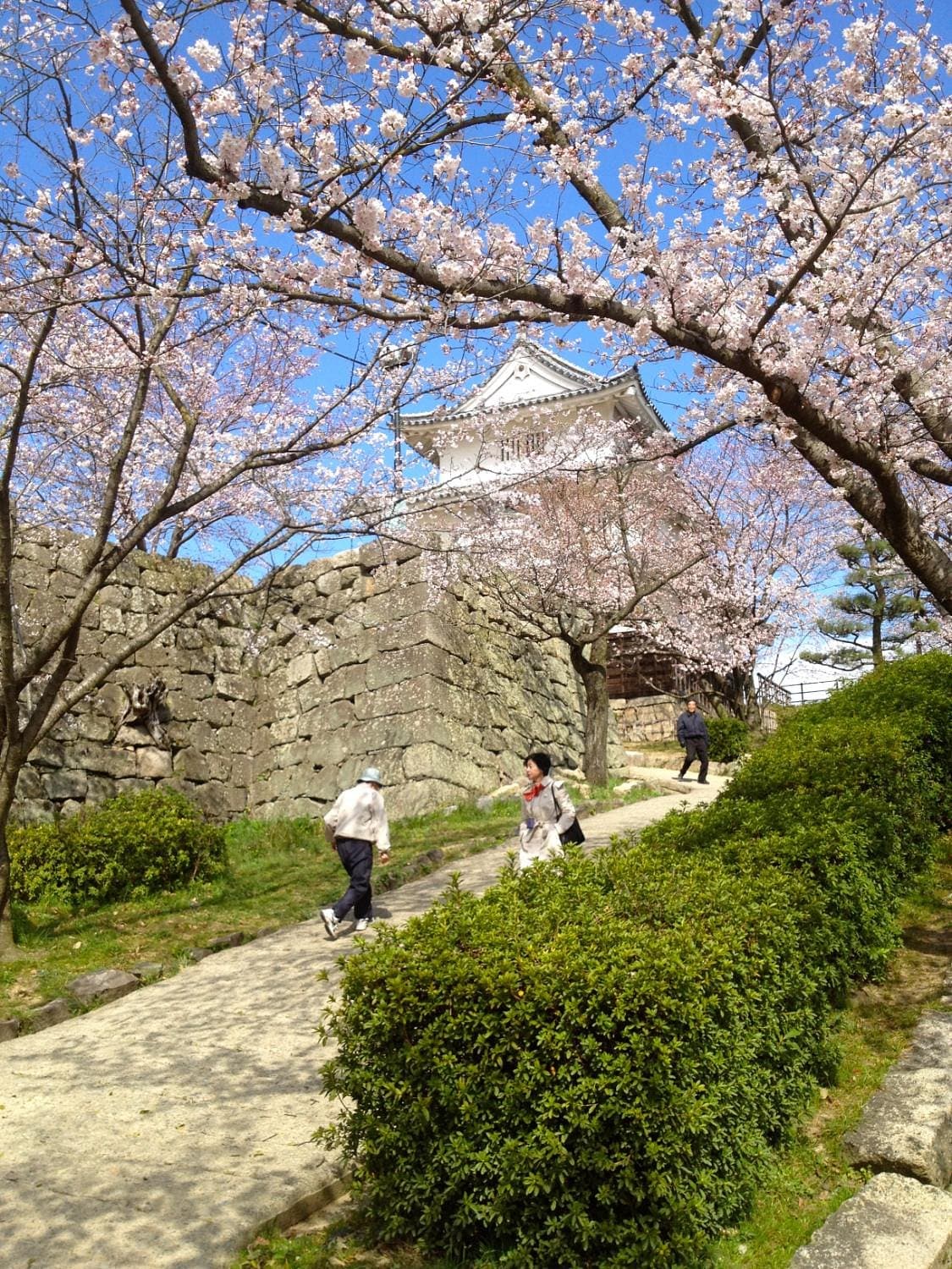 Touristeninformationszentrum der Burg Marugame